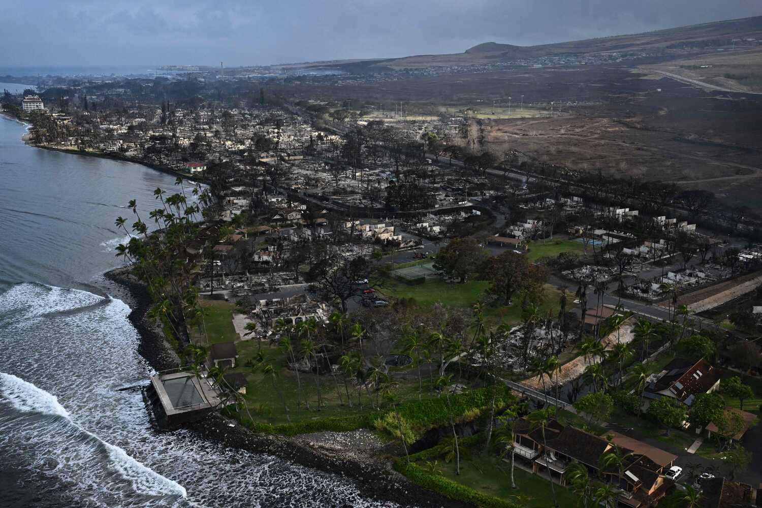 Maui's Wildfire Aftermath