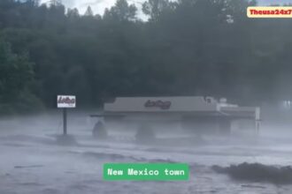 Three people, including two children, have died in flooding in a New Mexico town.