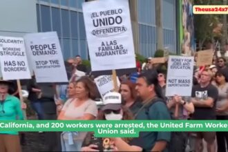California, and 200 workers were arrested, the United Farm Workers Union said.